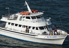 Fishing Cruises in Miami